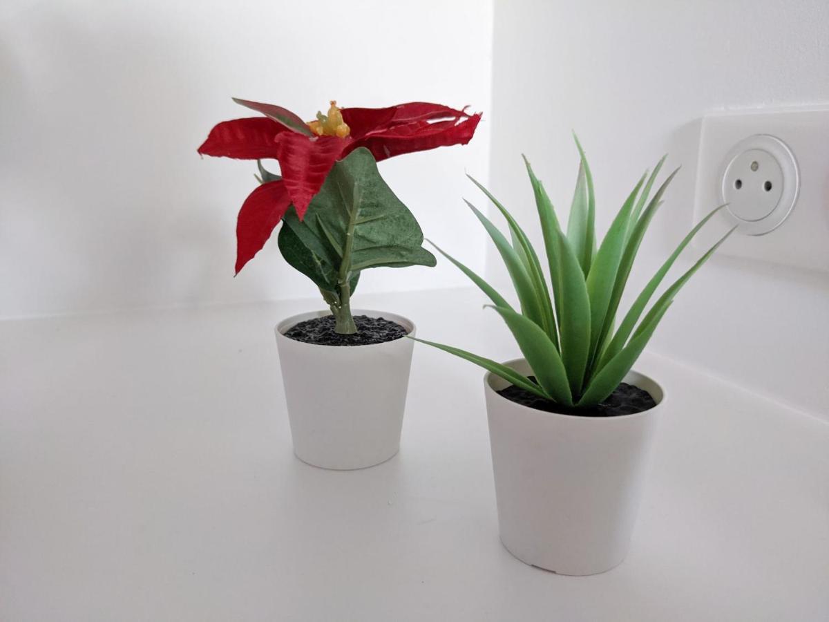 Apartmán Reves Paisibles Rubis - Choisy Exteriér fotografie